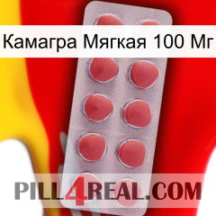 Камагра Мягкая 100 Мг 18